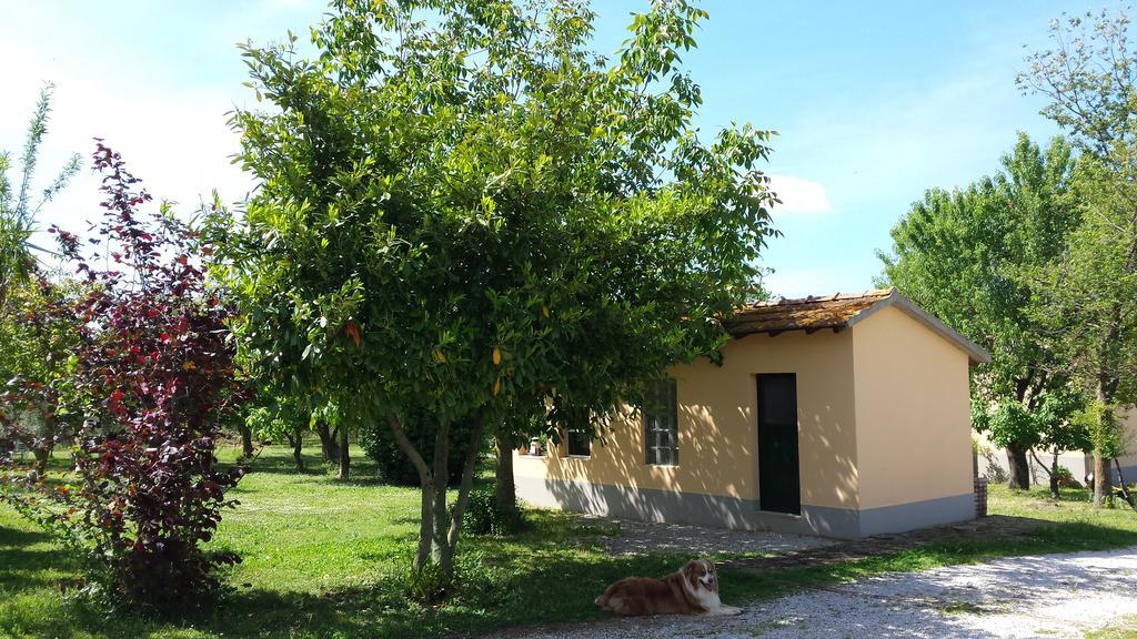Agriturismo Podere La Cascata Villa Massa Marittima Exterior photo